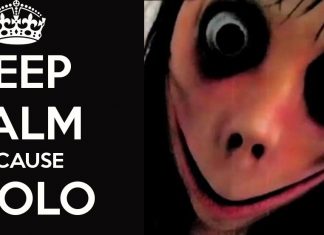 YOLO Tells Momo to F.O.