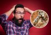 Vegans SHOCKED to find quinoa is a small furry mammal