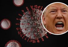 COVID-19 Relieved to test negative for Trump