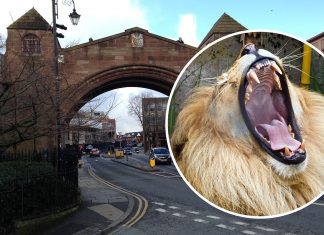 Animals to be released into Chester in event of closure – confirms Chester Zoo